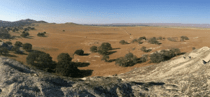 CASBA Desert Scene