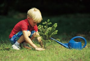Child Planting a Tree