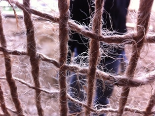 jute netting