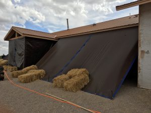 protecting plaster with tarps
