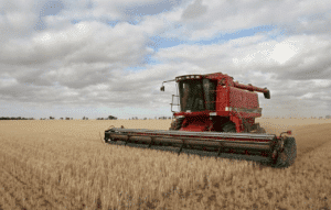 Wheat Field Harvest