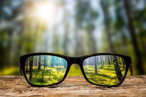 glasses looking through forest