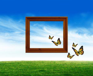 butterflies escaping window frame