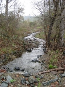 small creek