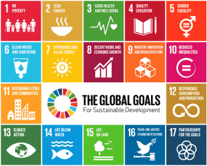 The Global Goals Diagram