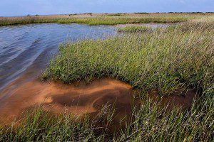 Gulf Oil Spill in Waterways