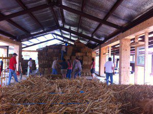 Steel Framing for straw bale house