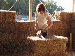 woman cutting straw bales with chainsaw